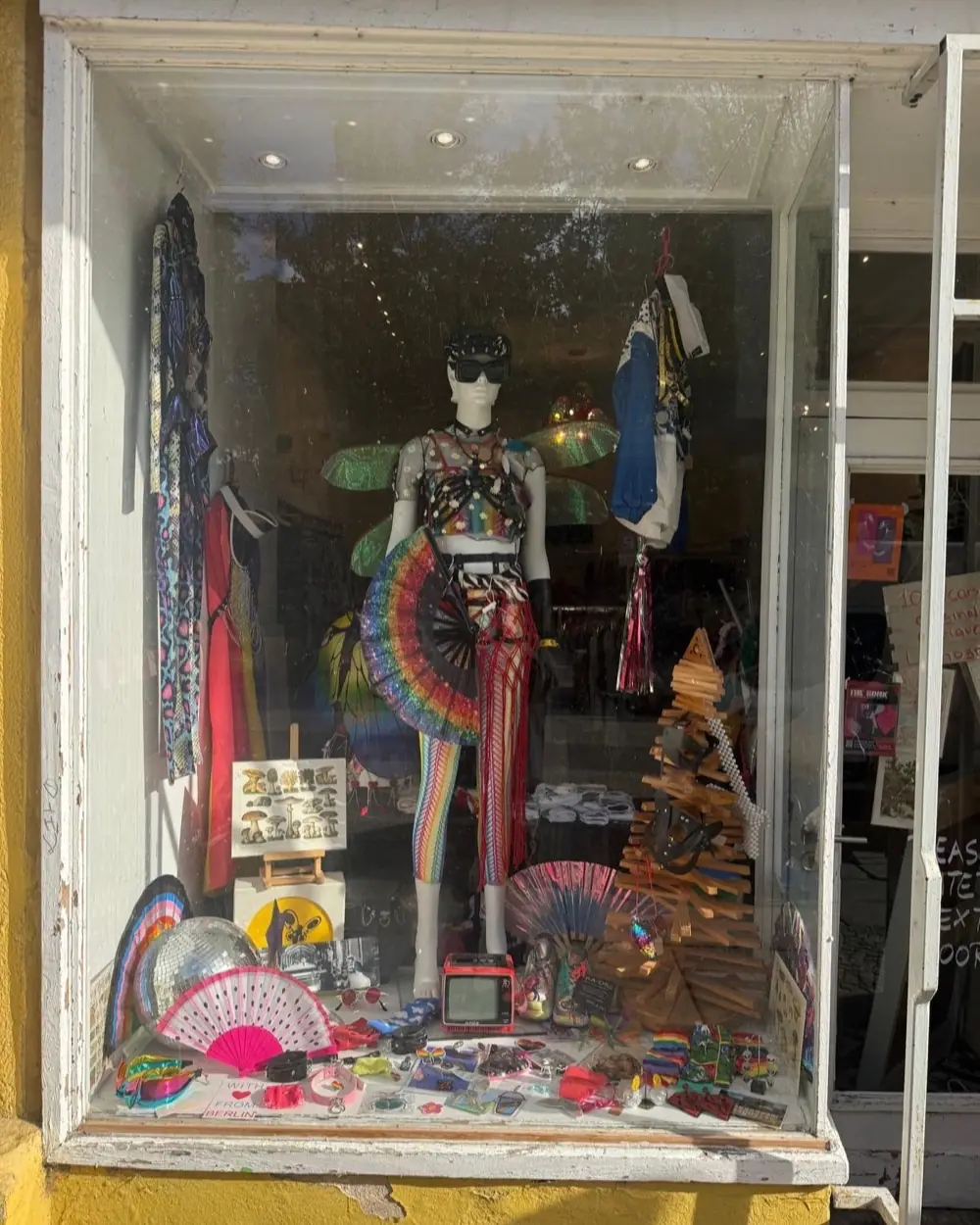 Schaufenster mit Libellenflügeln, Regenbogen-Fächer, Discokugel und Festival-Accessoires